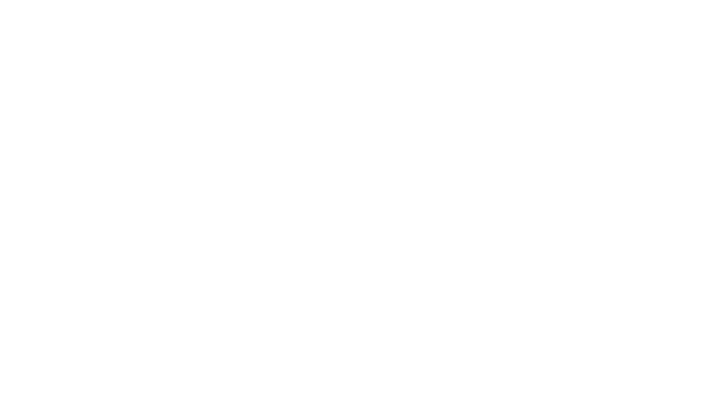 balmira pvt ltd logo